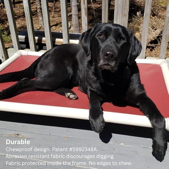 Kuranda Chewproof Elevated Pet Bed - Almond PVC - 30 x 20 - Heavy Duty Vinyl - Burgundy