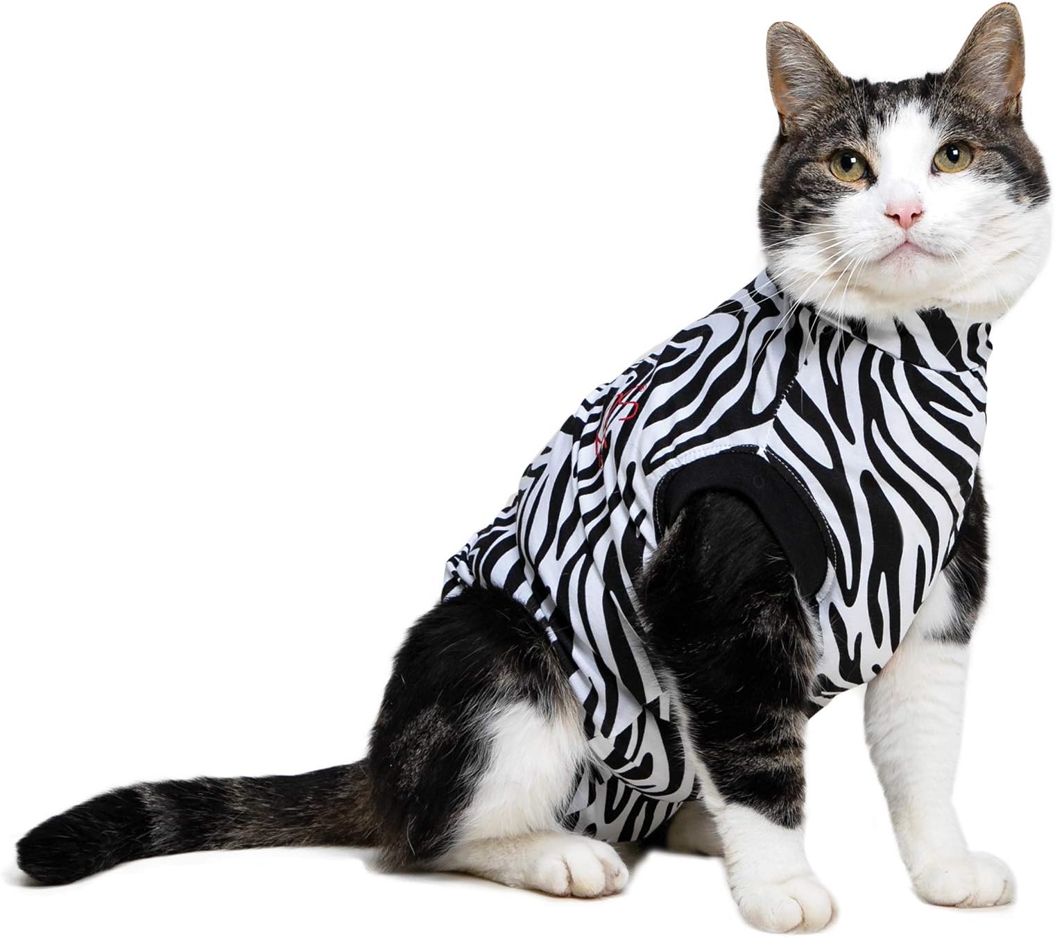 Medical Pet Shirt Cat, Surgery Recovery Suit, Zebra-Print, XX-Small