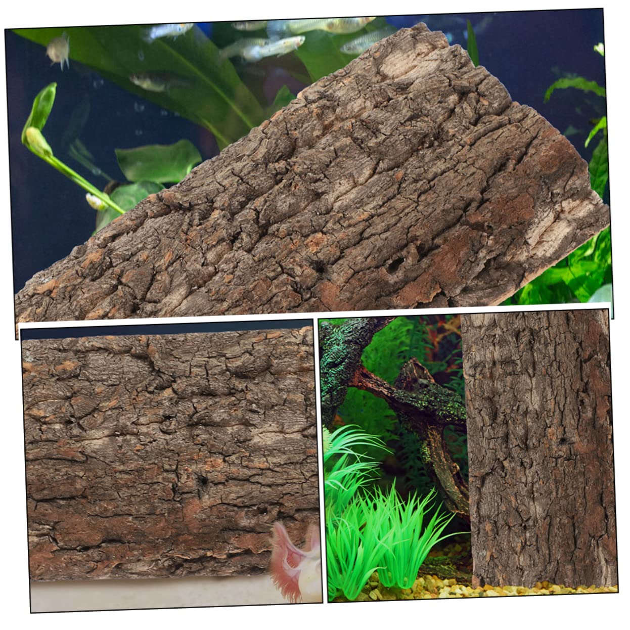 BESPORTBLE 10piezas Reptile Bark Backdrop para y Terrarios Natural De para Decoración De Peceras y Reptiles y