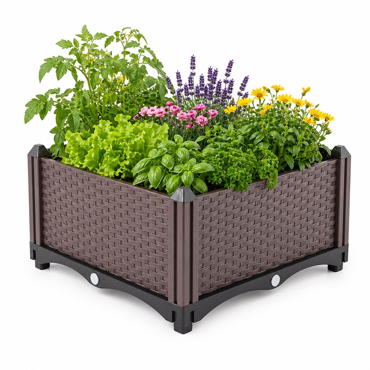 Frilla Cassetta per orto rialzata da giardino – vaso per coltivazione ortaggi, fiori e piante, struttura stabile e resistente Botanitko