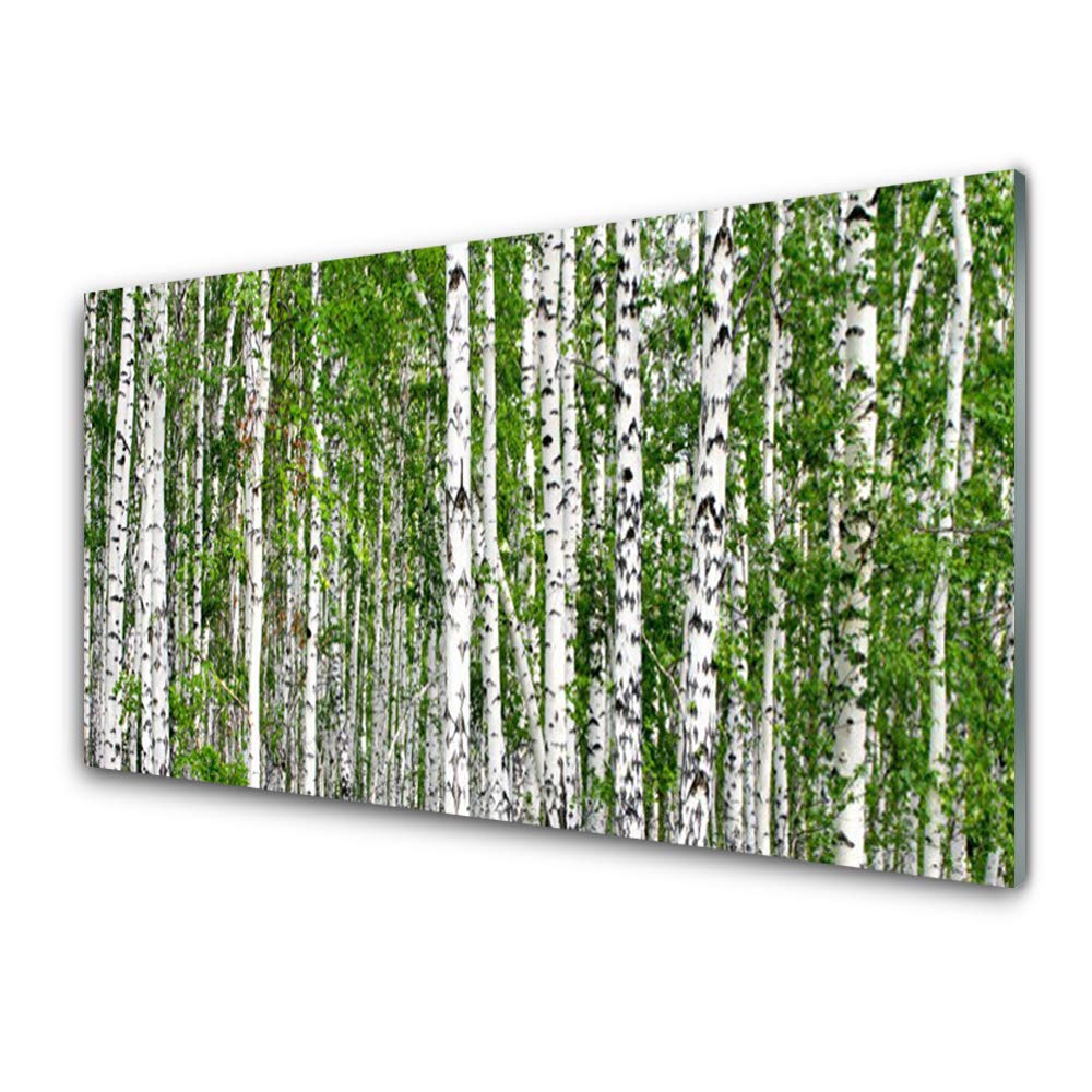 Tableau nature forêt de bouleaux en verre trempé 100x50 cm pour décoration de salon lumineux