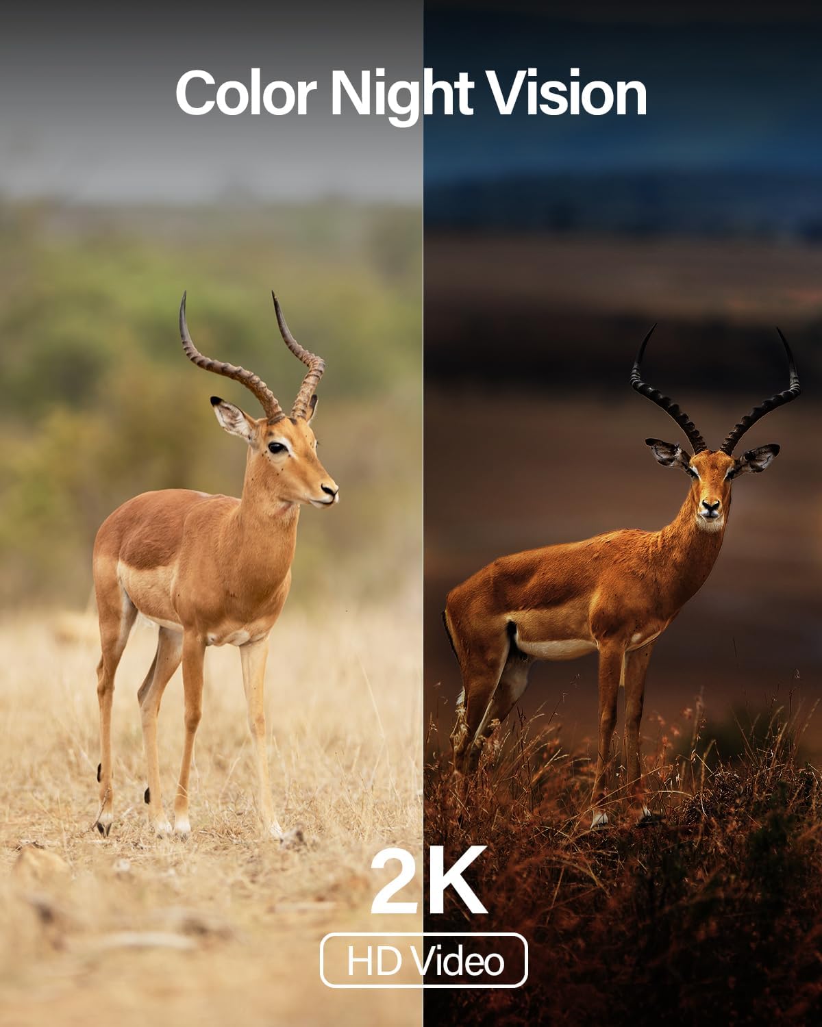Ebitcam camera color night vision example