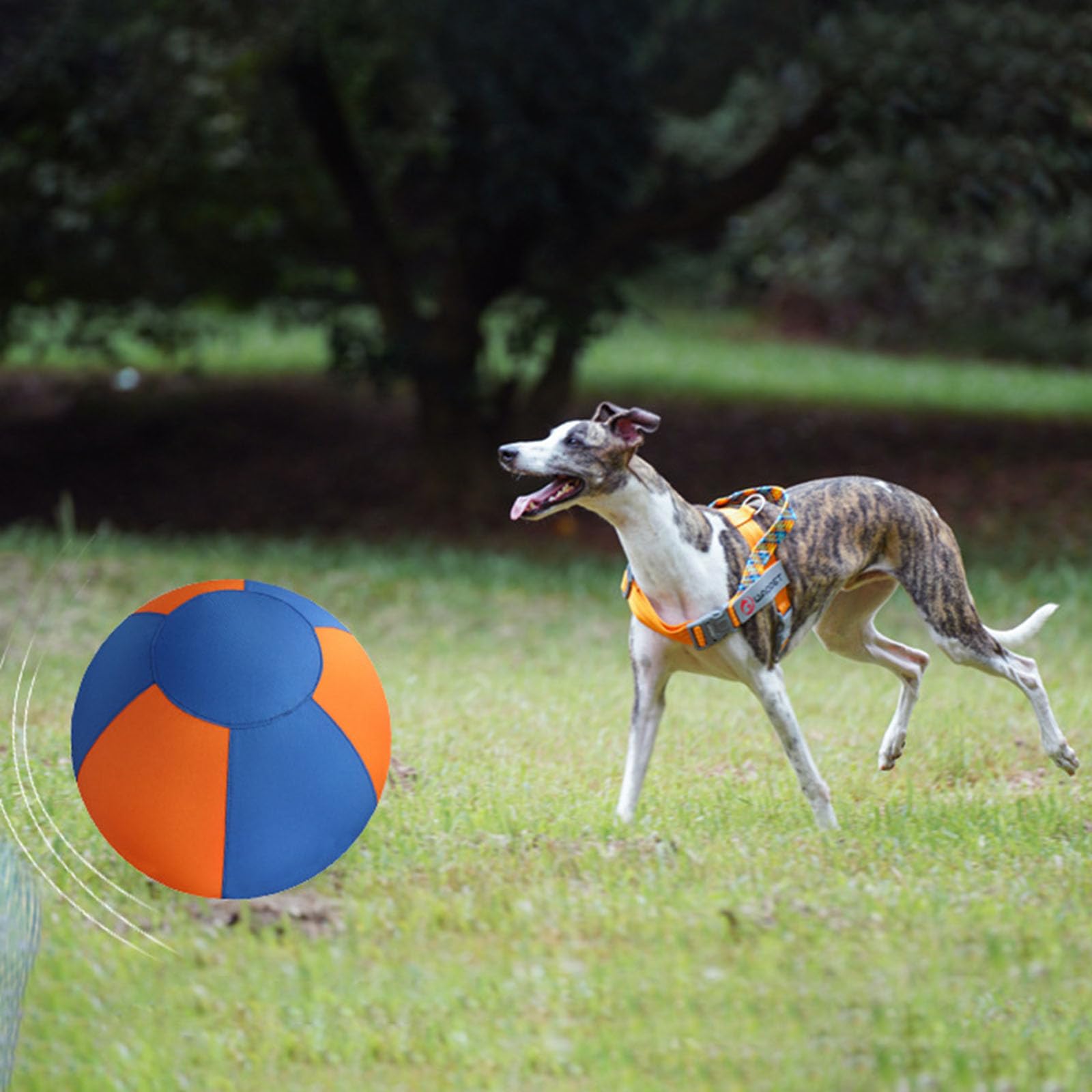 Grande balle gonflable pour chien pour s'amuser et s'entraîner en plein air, jouet interactif et rebondissant pour jouer dans le jardin