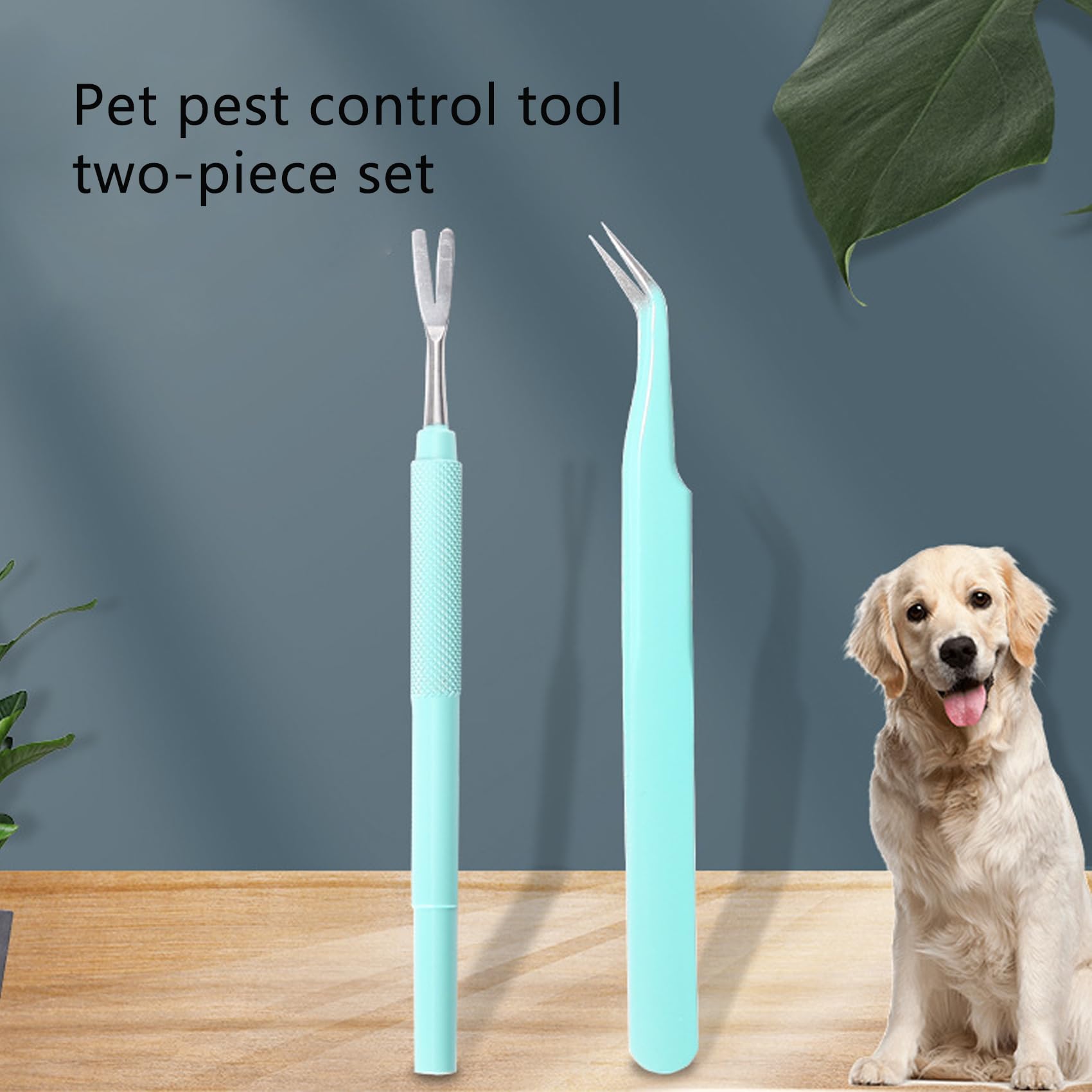 2 Pièces Pince à Tiques en Acier Inoxydable, Facile, Rapide et sans Douleur, pour Les Humains, Chiens, Chats, Animaux de Compagnie