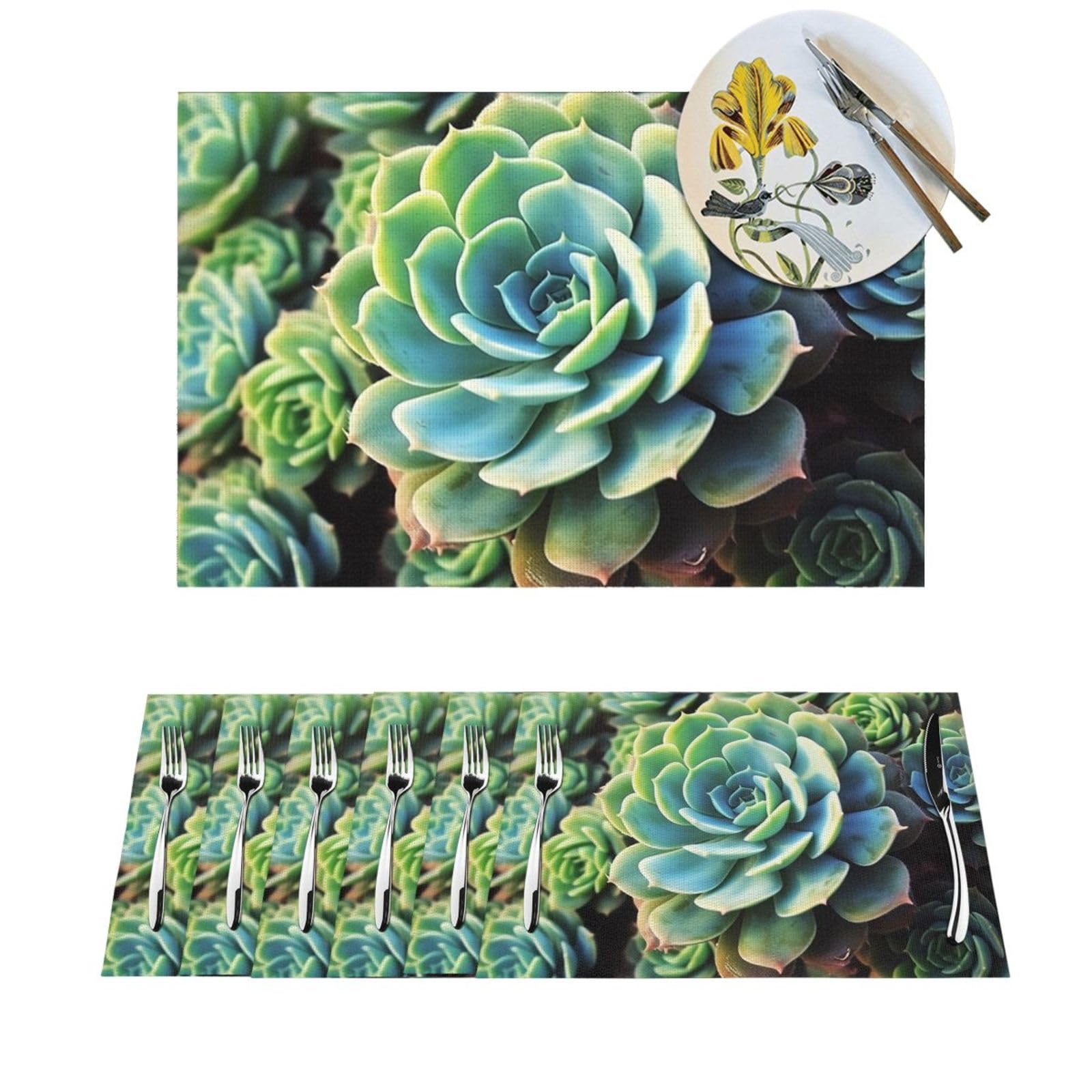 Set de table cuisine succulente lot de 6 pour repas en famille et décoration
