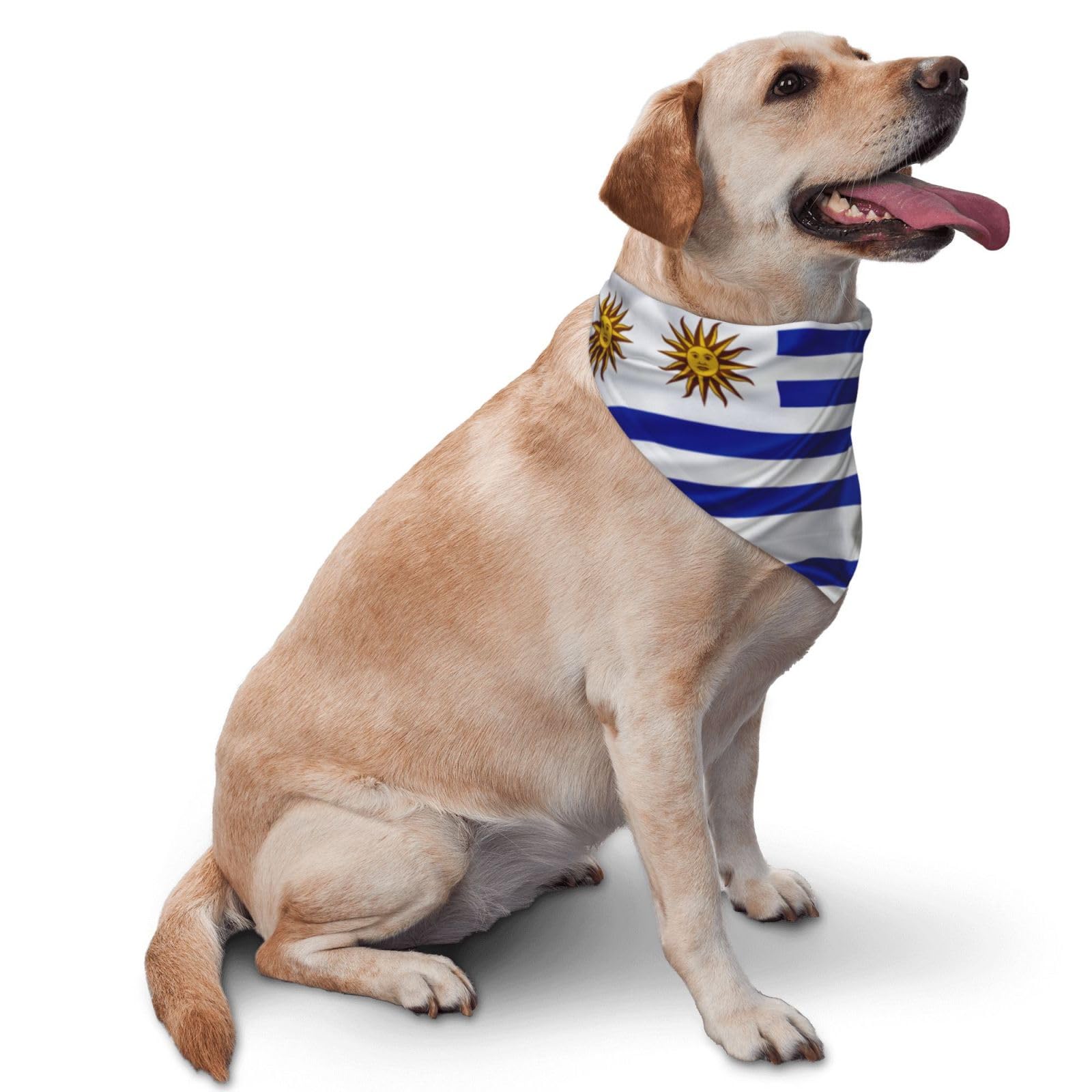 Uruguay Flag Dog Scarf Pet Bandana Cat Pet Bibs