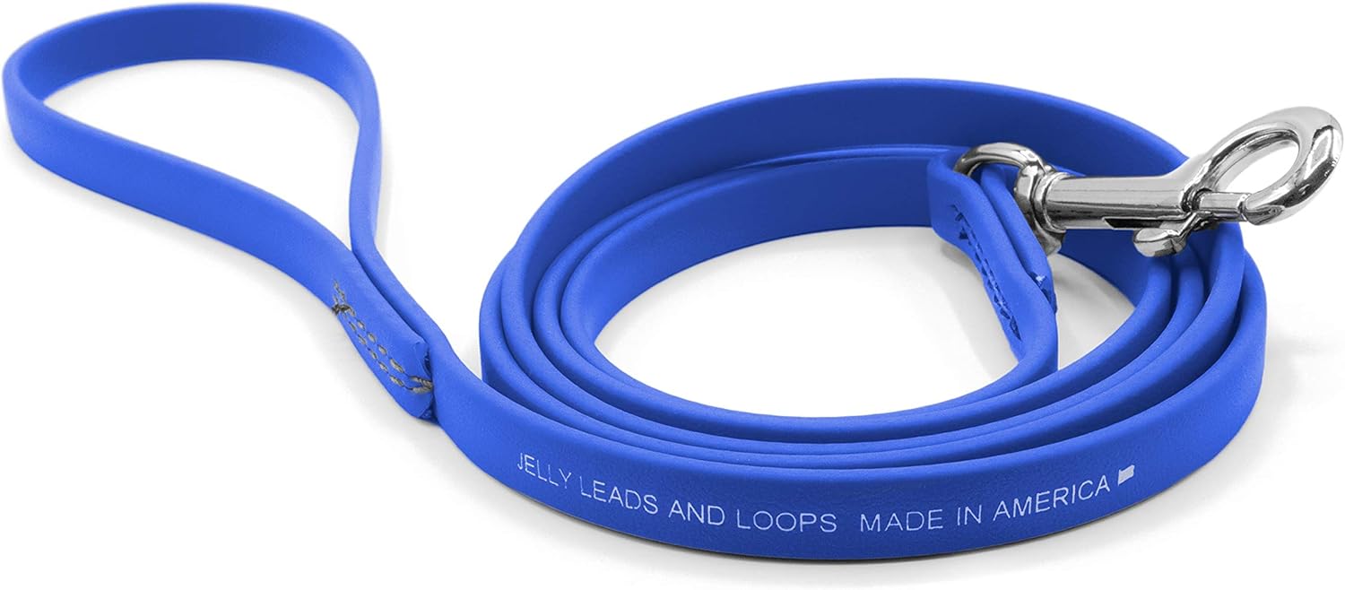 Jelly Pet Leash l Waterproof and Easy to Clean l Made in America l Stronger Than Leather (1/2" x 6', Red)