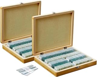 AmScope PS200A Prepared Microscope Slide Set for Basic Biological Science Education, 200 Slides, Set A, Includes Fitted Wooden Case
