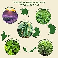 Vista 6 de Essential Oils Set Top 6 Aromatherapy-Essential Oils for Diffuser for Home,Air Freshening Diffuser Oils Scents for Aromatherapy,Laundry,Candle&Soap