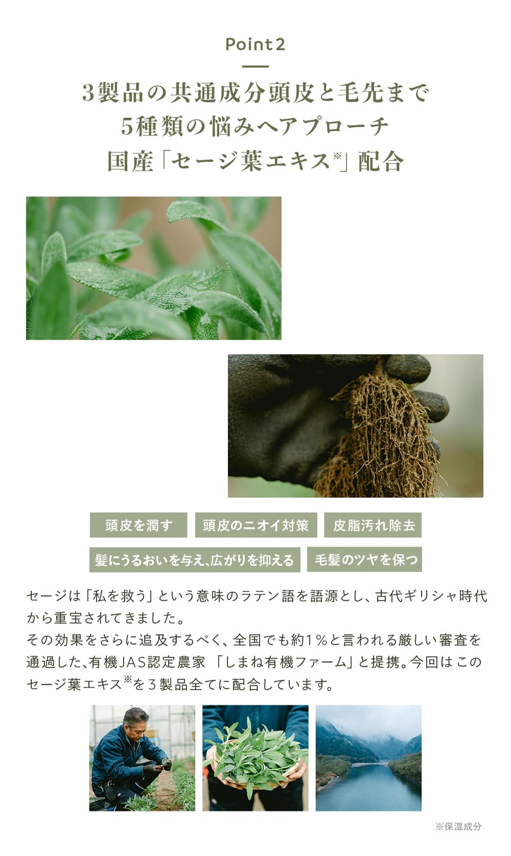 Amazon | 【大人の頭皮エイジングケア】N organic スカルプヘアケア3点