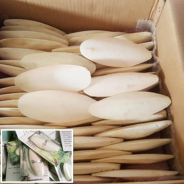Foto 5 de 8 de Edorco 10 Hueso Sepia para pájaros - Jibia Natural para pájaros y Reptiles Suministros Salud