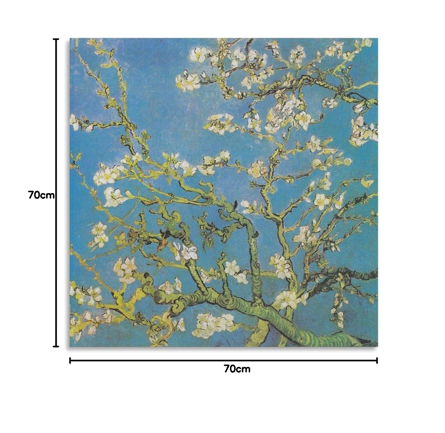 Amazon.co.jp: Van Gogh フィンセント・ファン・ゴッホ 『花咲く