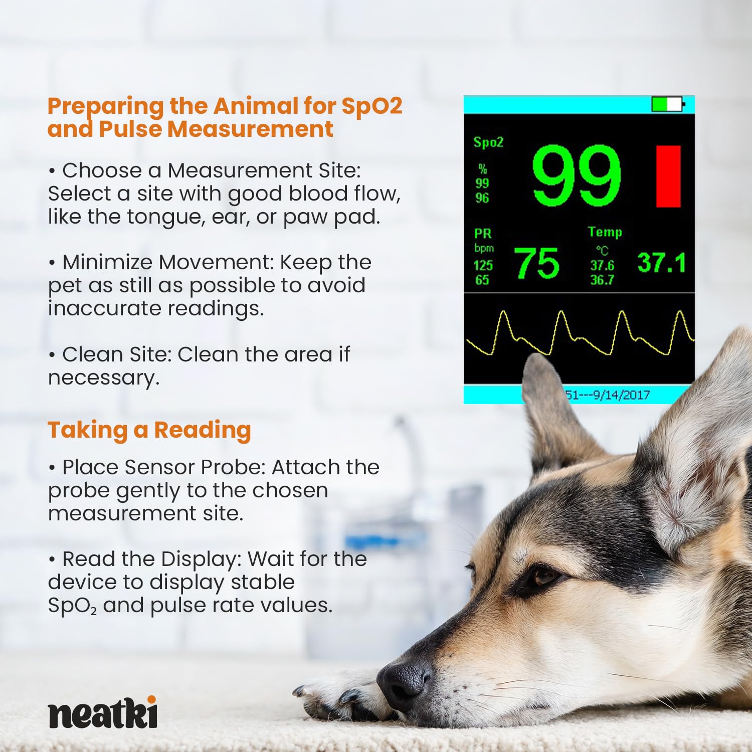 Veterinary Pulse Oximeter – Handheld Pet Oximeter for SpO2, Pulse Rate & Temperature Monitoring | Fast, Reliable Readings | Easy-to-Use Display | Dogs, Cats & Small Animals (White)