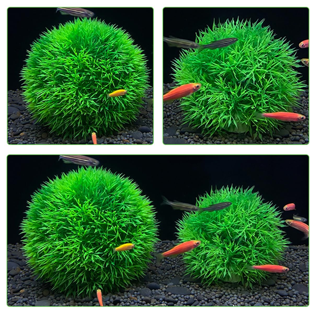 ABOOFAN 5 Set Di Decorazioni Per Piante Acquatiche Per Acquari Piante Acquatiche Realistiche Per Decorazioni Per Acquari 2 Pezzi * 5