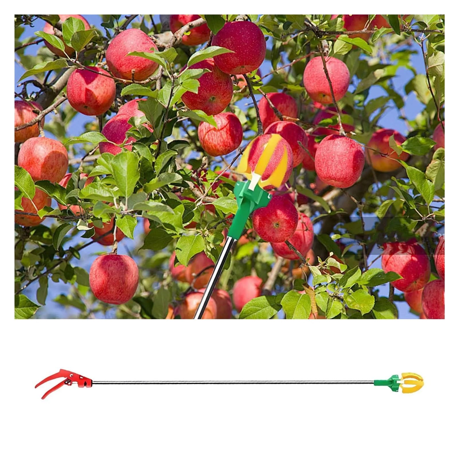 Raccoglitore di Frutta Raccoglifrutta, Copertura Estensibile in Silicone for Artigli, Raccolta della Frutta ad Alta Quota, Adatto for l'uso in frutteti e abitazioni