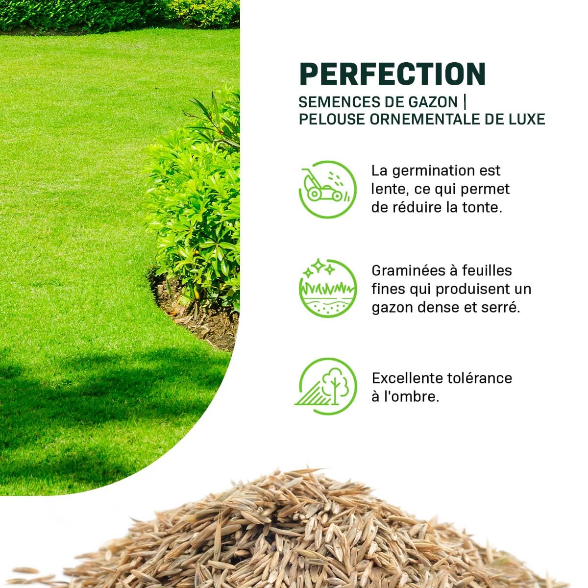 MRS Green Perfection Semences de gazon d'ornement 1 kg pour 50 m²
