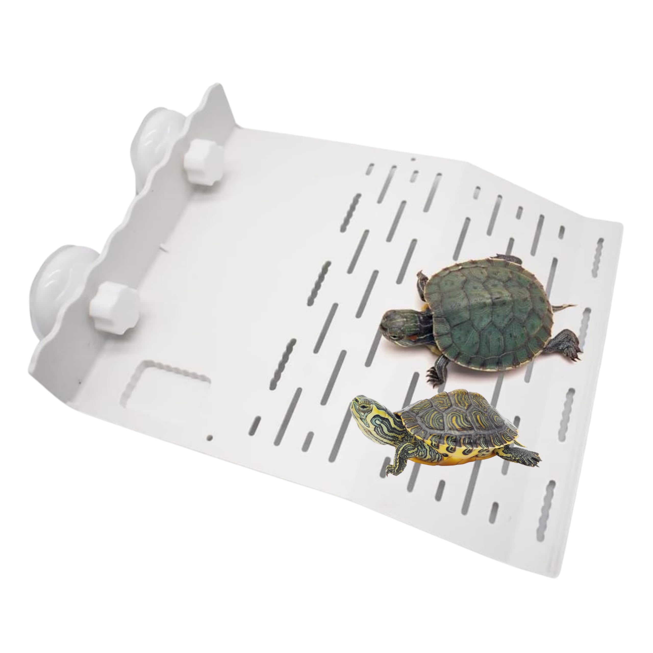 HOORayeah Tortoise Basking Platform - 1.6 X 5.7 X 7.9 inches Turtle Platform - Floating Basking Dock with Suction Cup for Aquarium Decoration
