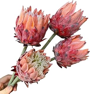 4Pcs Artificial King Protea Flower Faux King Protea Tropical Flowers Stem Fake Cynaroides Floral Arrangements for Wedding Party Centerpiece Home Office Garden Decor