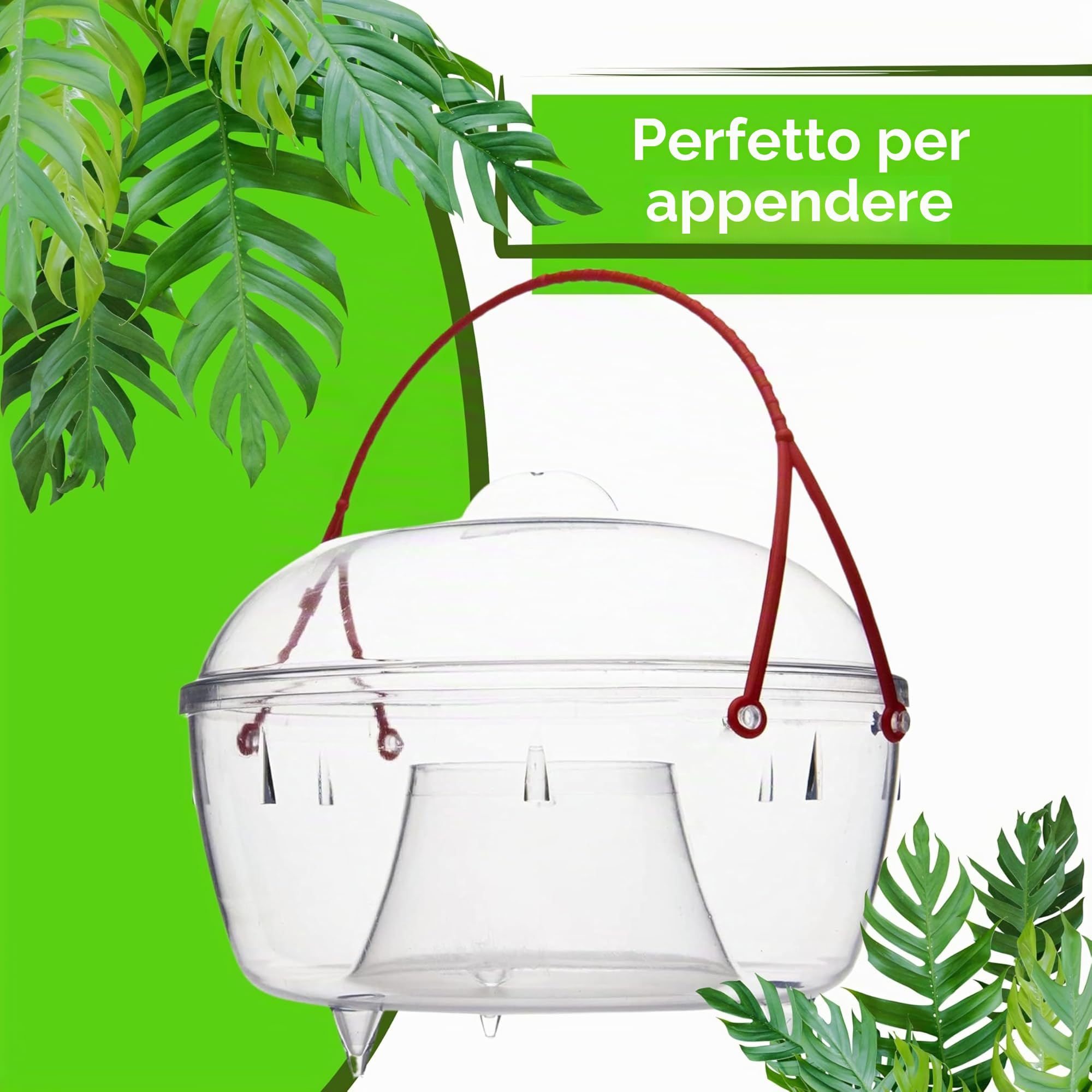 AROBA Set di 6 Grandi Trappole per Insetti Anti-Zanzare 18 cm - Efficace e Ecologico, Trappola per Mosche, Insetti e Zanzare per Giardino e Terrazza - Anti-Vespe