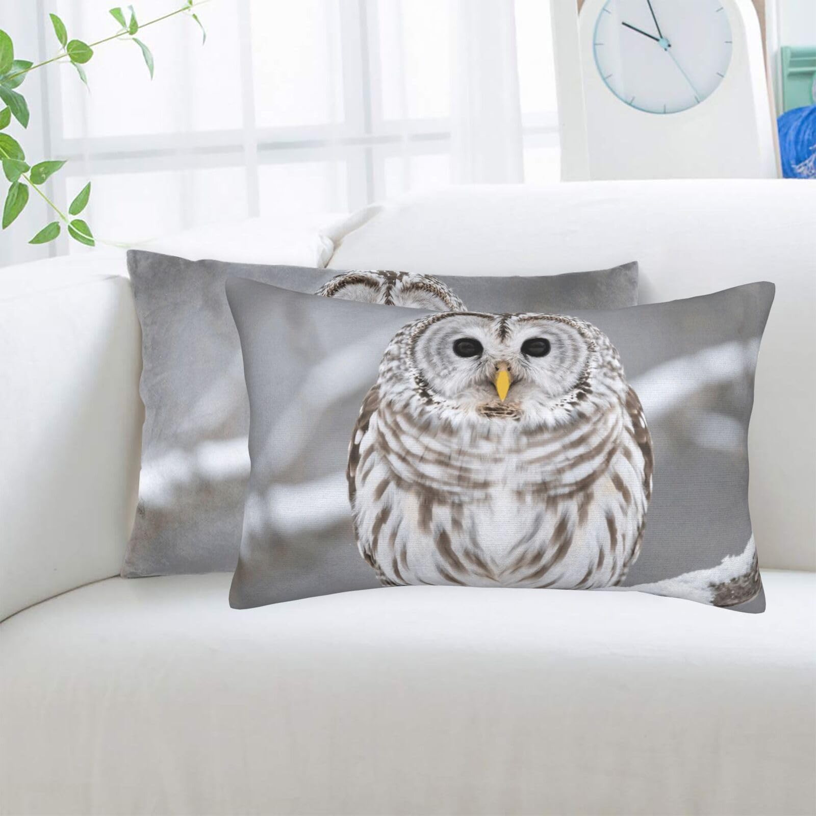 2 Pack Standard Pillowcases Sets, Ultra Soft Comfort Microfiber Plush Pillow Cases Curious Barred Owl Closeup Decorative Throw Pillow Cover with Hidden Zipper for Bedroom, Sofa, Couch,16"X24"