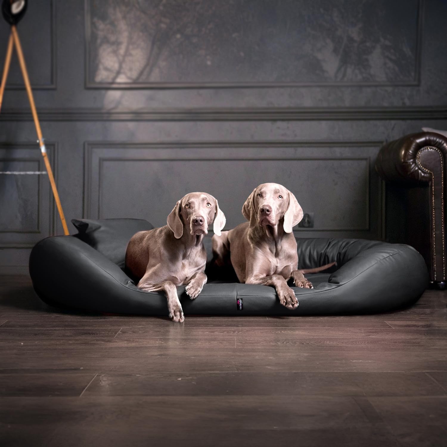 tierlando® Orthopädisches Hundebett Sammy Easy CLEAN mit viscoelastischer Matratze und hohem Rand aus Kunstleder für gelenkschonenden Schlaf und höchsten Komfort Größe: 170x110cm | Farbe: 02 Graphit
