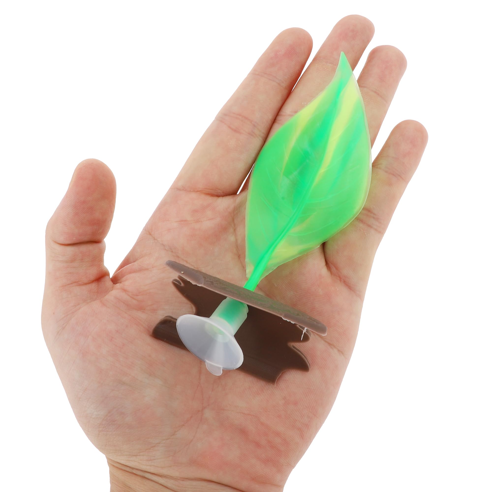 CAPASTEC Betta Fish Bed, Betta Leaf Bed, Silicone Betta Hammock, 1 Set, Green - Image 2