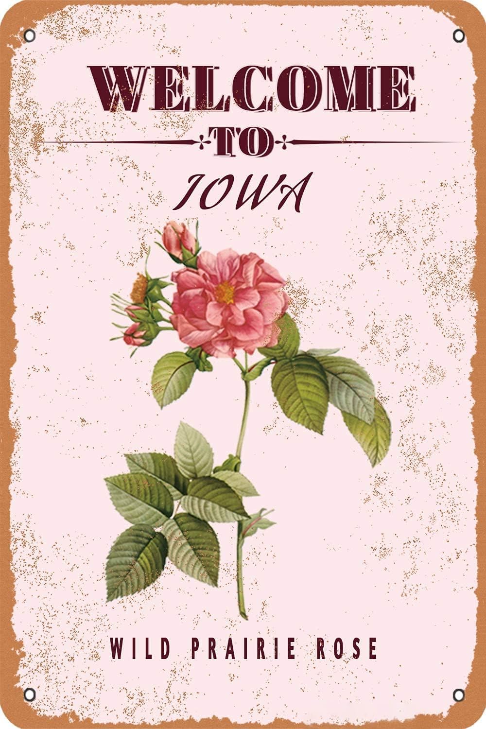 peiyeety Metal Tin Sign Welcome To Iowa Prairie Rose Art Decorative 6x8 Inch Vintage Retro Wall Art Plaque For State Lover Home Rustic Country Floral Themed Wall Decor