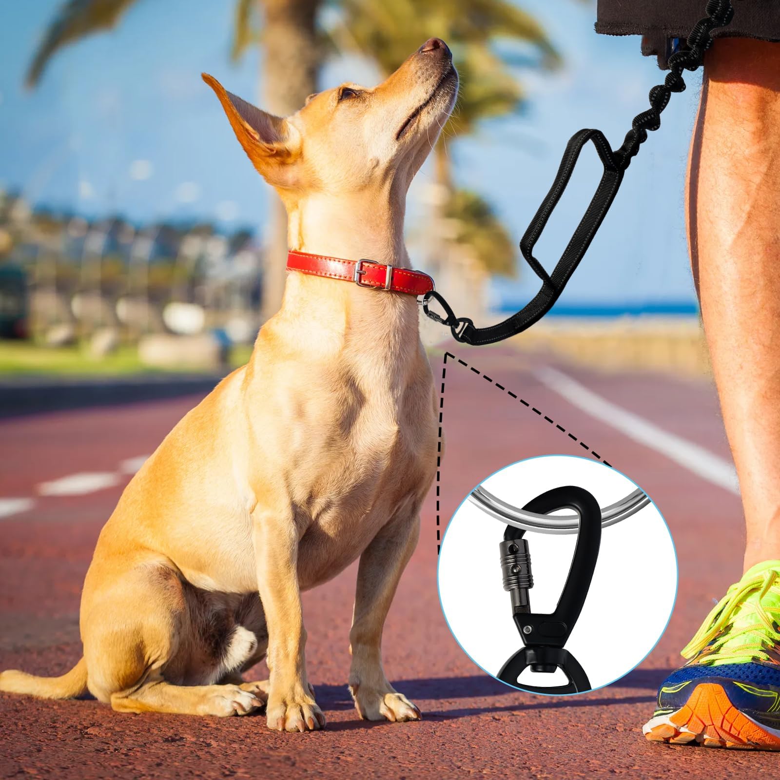 Heavy Duty Dog Leash for Large Dogs, Adjustable Bungee Leashes, Shock Absorbing Dog Lead, Reflective Nylon Leash with Padded Handle, No Pull Training Lead for Medium and Big Dogs