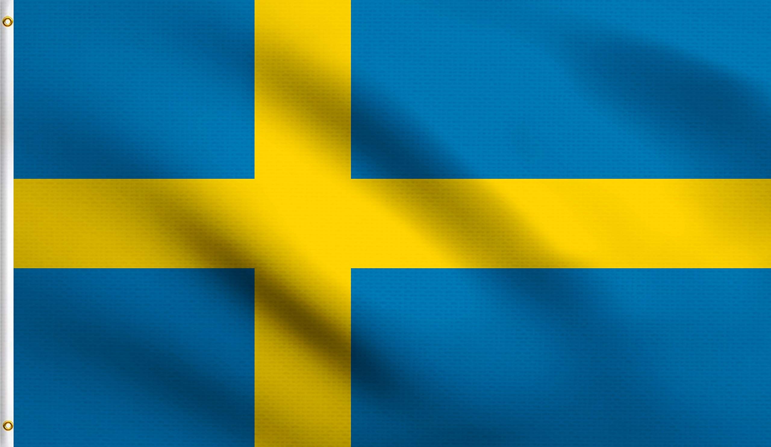 DMSE WholesaleDMSE Sweden Swedish Sveriges flagga Flag 3X5 Ft Foot 100% Polyester 100D Flag UV Resistant (3' X 5' Ft Foot)