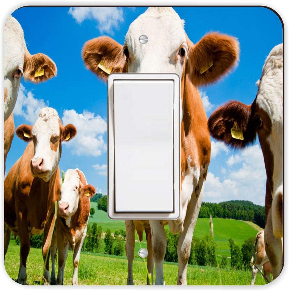 Cows In Field - Double Rocker Light Switch Cover - Double Rocker Switch Plate