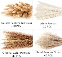 Vista 2 de 200PCS Dried Flower Bouquet – Pampas Grass, Floral Decor for Home, Wedding, and Boho Style Perfect for Vases, Fall, Spring, Summer, and Winter