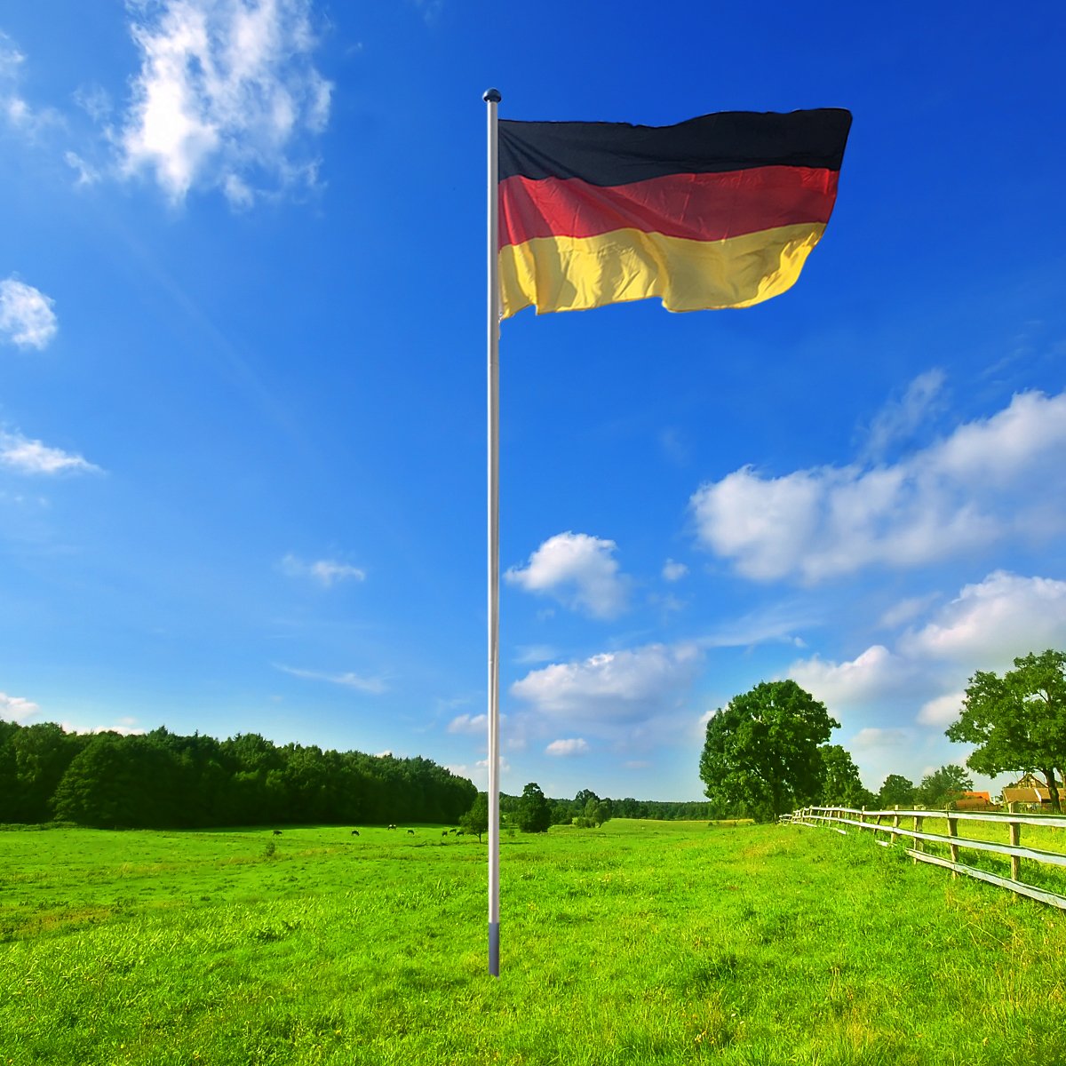BGF Alu Fahnenmast 6,50 m Flaggenstange