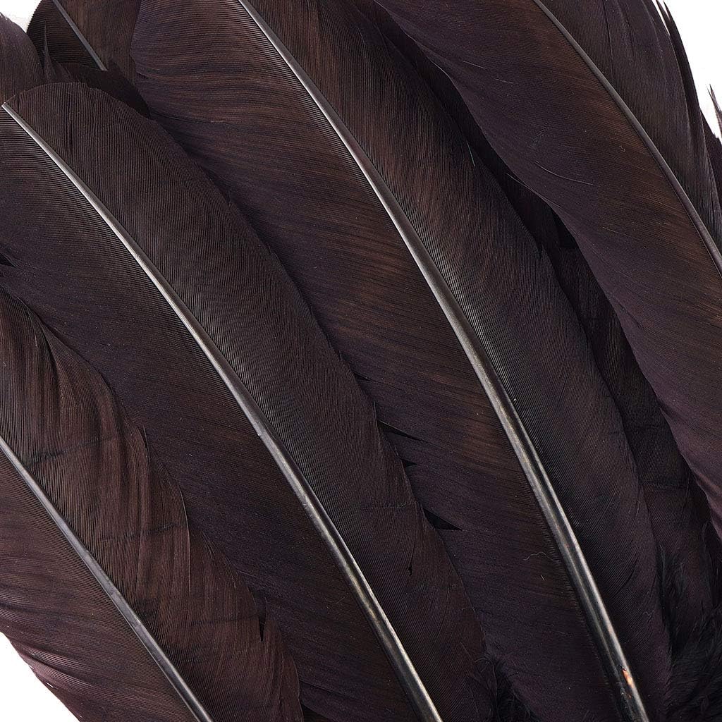 Zucker 10-12 inch Turkey Feathers for Crafts - 4pc Quills for DIY Headdress, Dream Catcher, Home Decor - Lavender