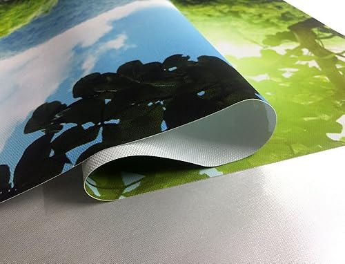 Miniatura 2 de Póster artístico impreso en lienzo para decoración de pared (nieve de tigre blanco) Tamaño 20 x 30 pulgadas