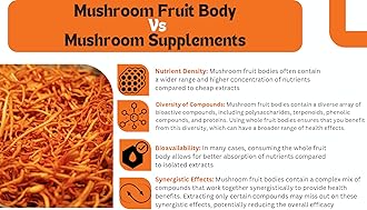 Cordyceps Militaris Dried Raw Mushroom 20gms | Energy, Endurance & Immunity Supplement -Pack Of 1
