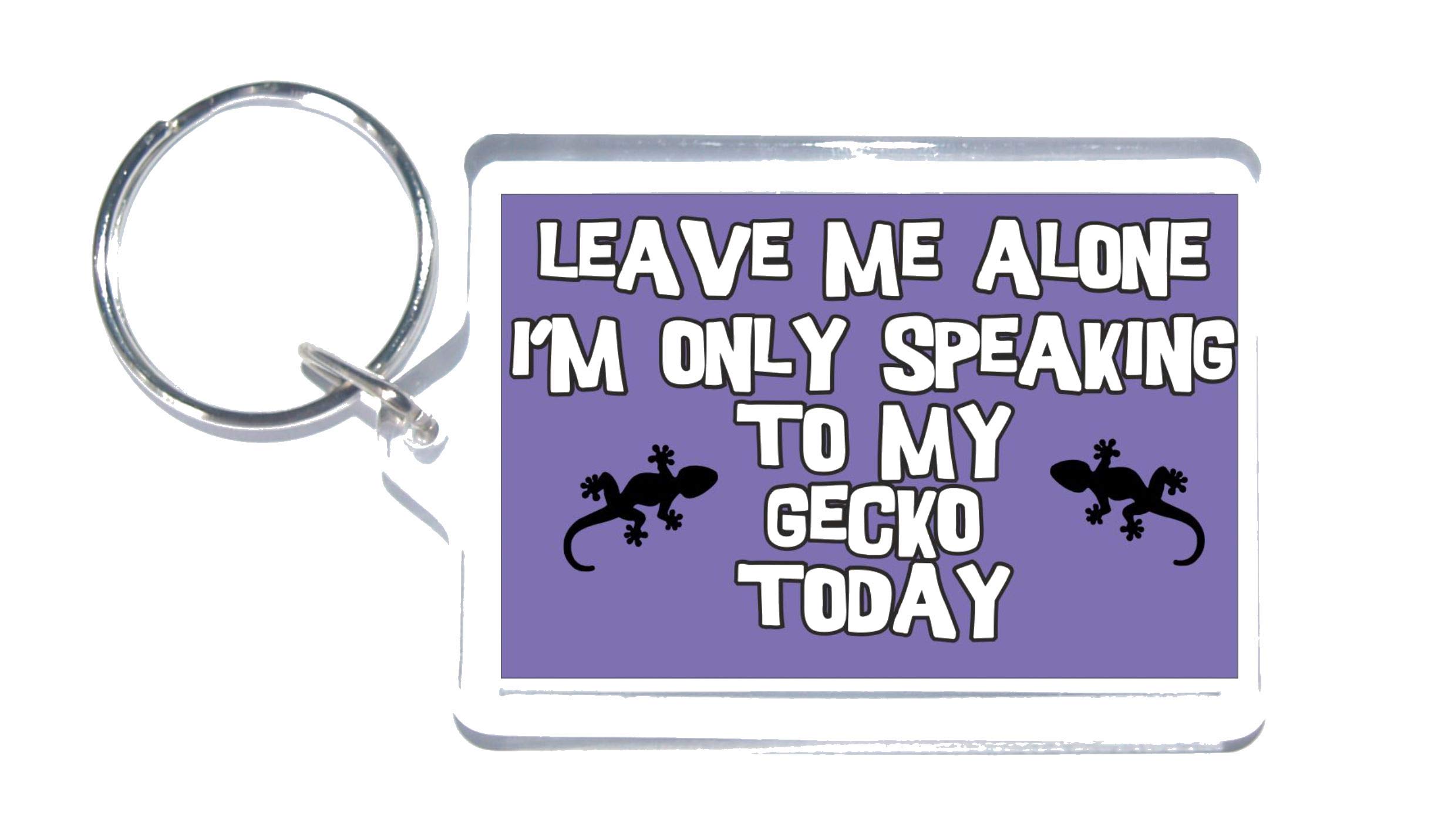 Love Geckos - Leave Me Alone I'm Only Talking To My Gecko Today - Novelty Keyring - Ideal Present