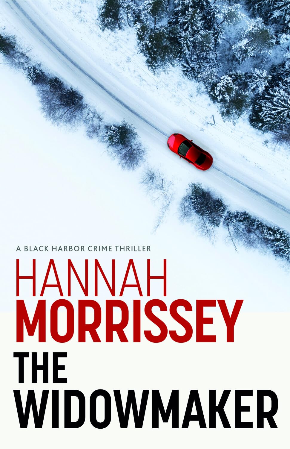 The Widowmaker: A haunting thriller about a dead cop, a missing mogul and the woman who might hold the key to both (Black Harbor 2)
