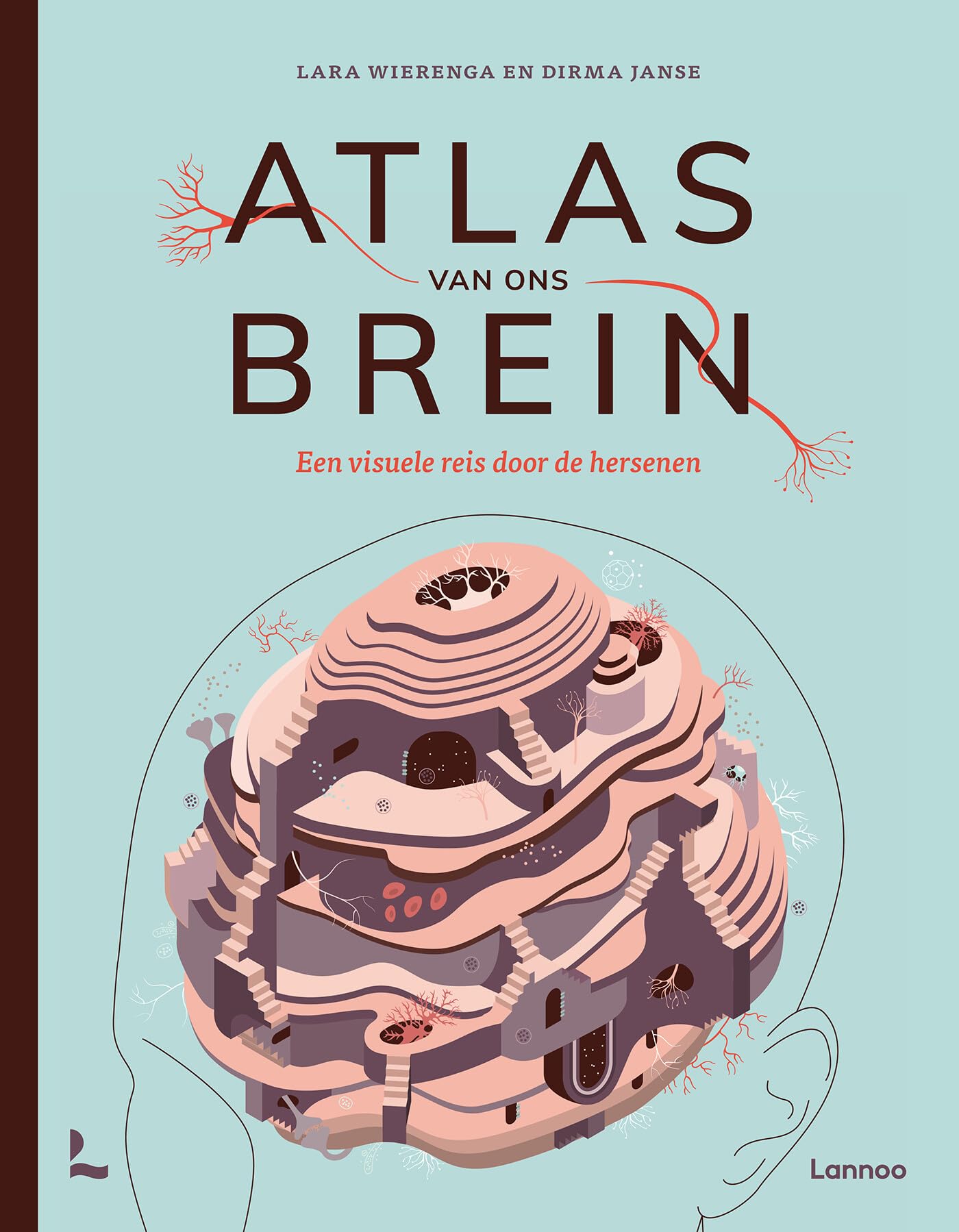 Atlas van ons brein: een visuele reis door de hersenen