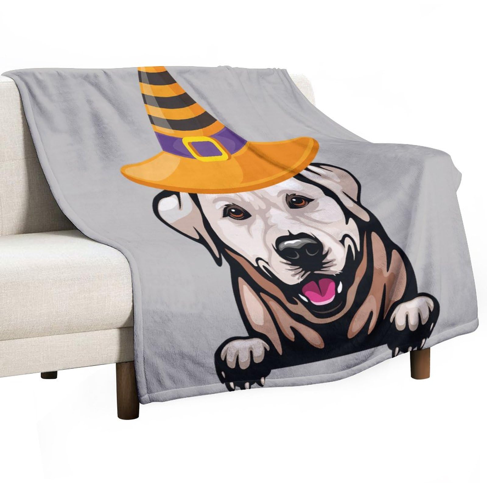 Couverture labrador d'Halloween, le cadeau idéal pour amoureux des chiens