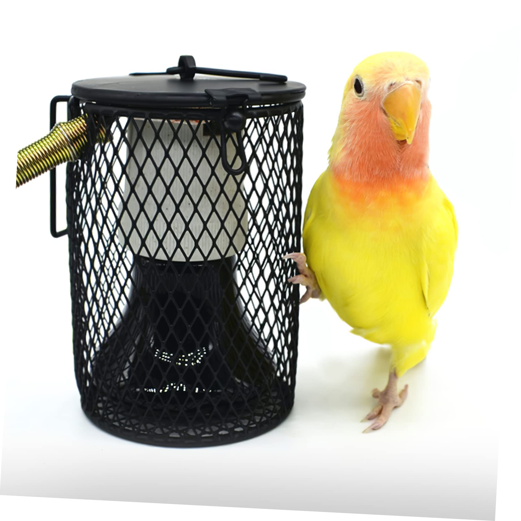 FRCOLOR 3pezzi Lampada Riscaldante Per Rettili Paralume Per Box Vivarium Copertura Pratica e Design Elegante Per Tartarughe e Altri Animali Domestici Accessorio Per Riscaldamento Lampada e