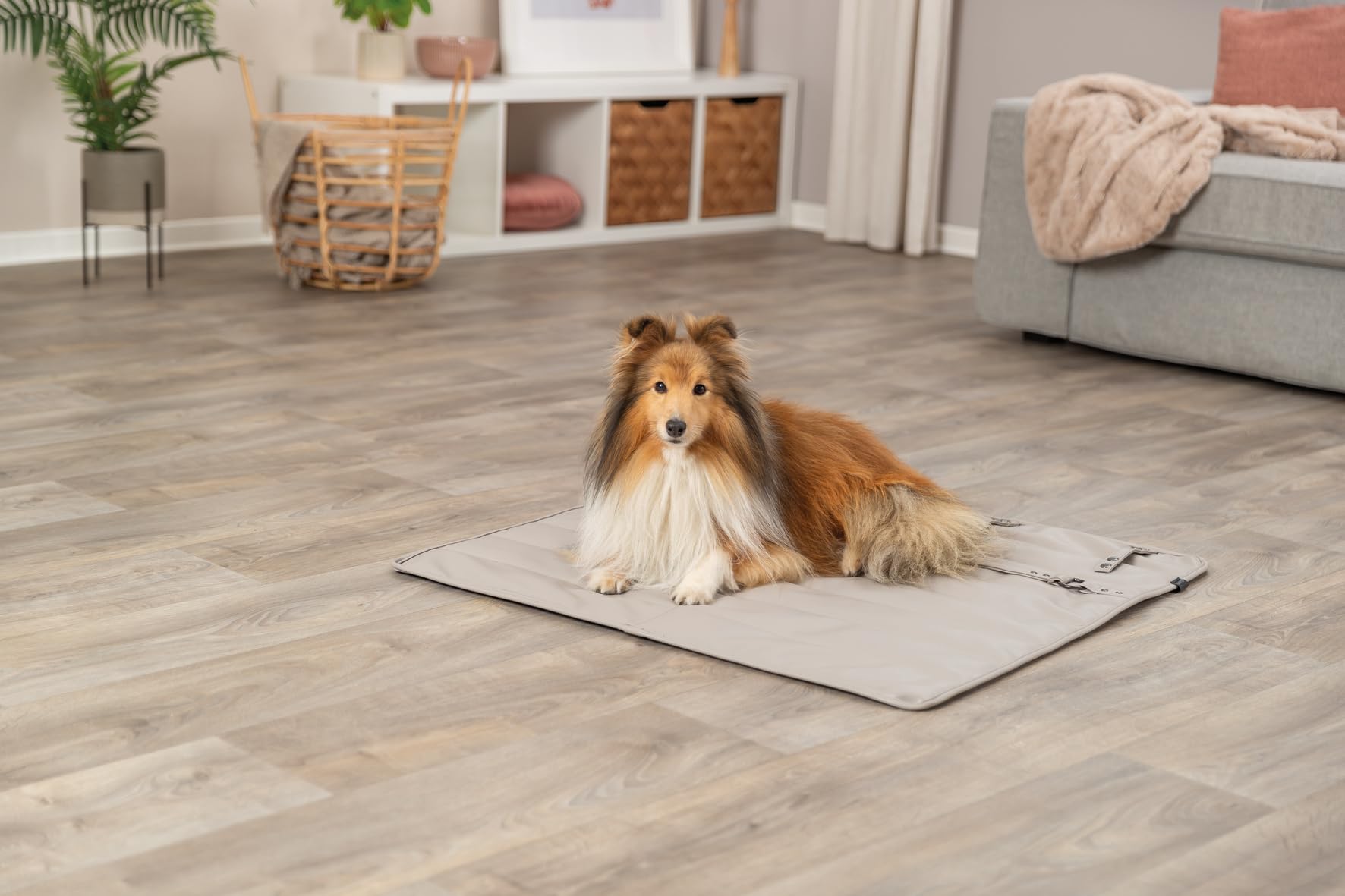 TRIXIE Reisedecke CityStyle für Hunde, wasserabweisend – 80 x 80 cm, beige