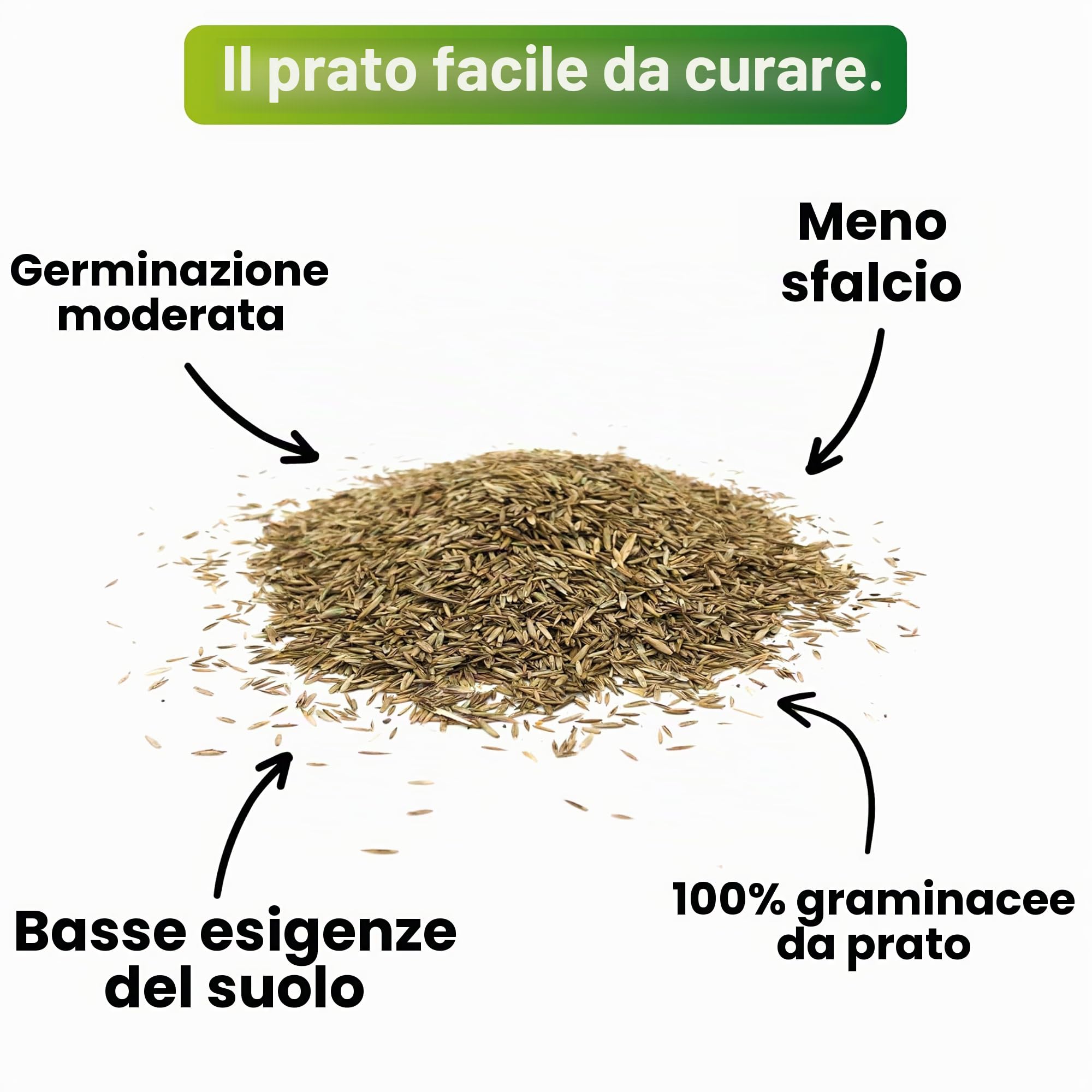 Greenyp® - Semi di erba decorativa di alta qualità, per prato da sogno, semi di erba, particolarmente densi, 5 kg per 200 m²