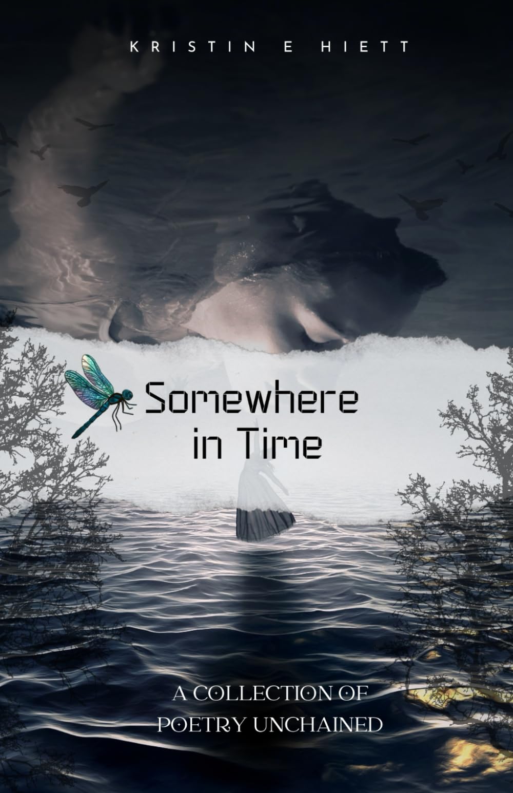 Somewhere In Time: A Collection of Poetry Unchained