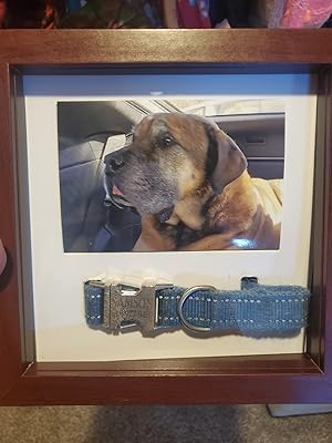 dog collar frame