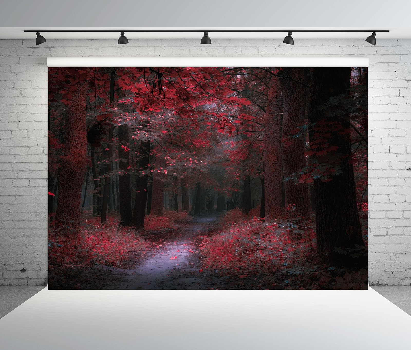 15x10FT (4.6x3m) Sentiero Nel Bosco Rosso Al Crepuscolo Sfondo Fotografico