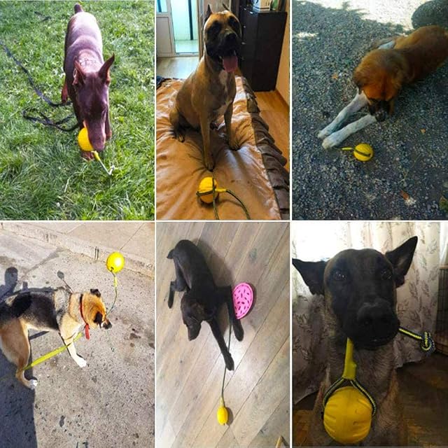 Foto 8 de 8 de Juguetes Interactivos de Bolas Perros, Goma de Mascota con la Cuerda, Pelota de Entrenamiento para Perros