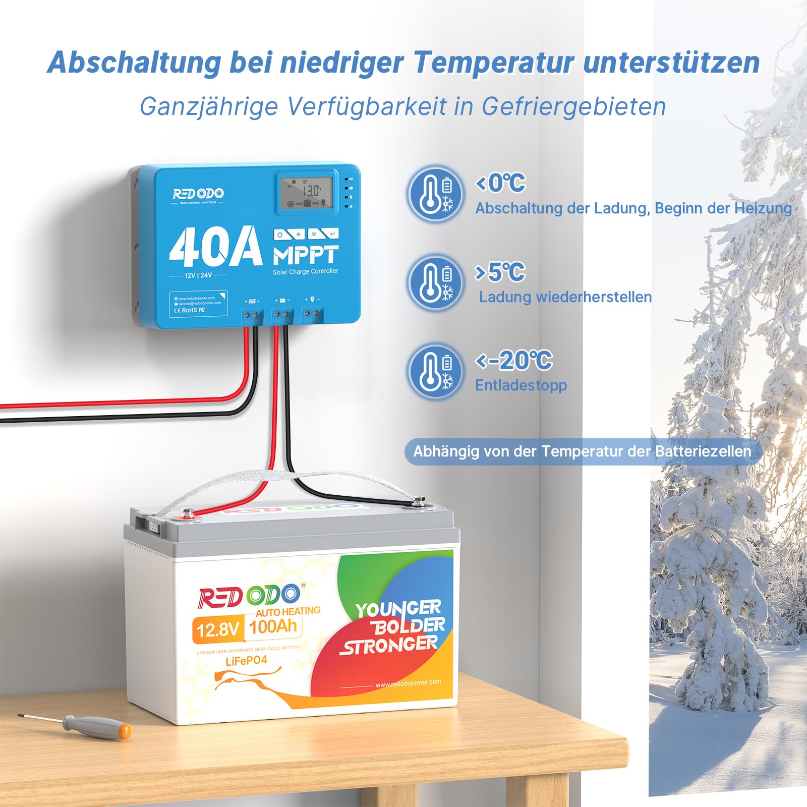 Redodo 2024 Verbesserte selbstheizende 12V 100Ah LiFePO4-Batterie, integriertes 100A BMS mit Heizung, unterstützt niedrigen Temperaturen (-4℉/-20℃) Laden, 4000+ Tiefe Zyklen, perfekt für Wohnmobile