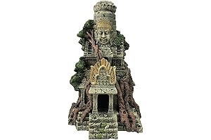 Saltwater Buddha: Majestic Aquarium Angkor Statuary