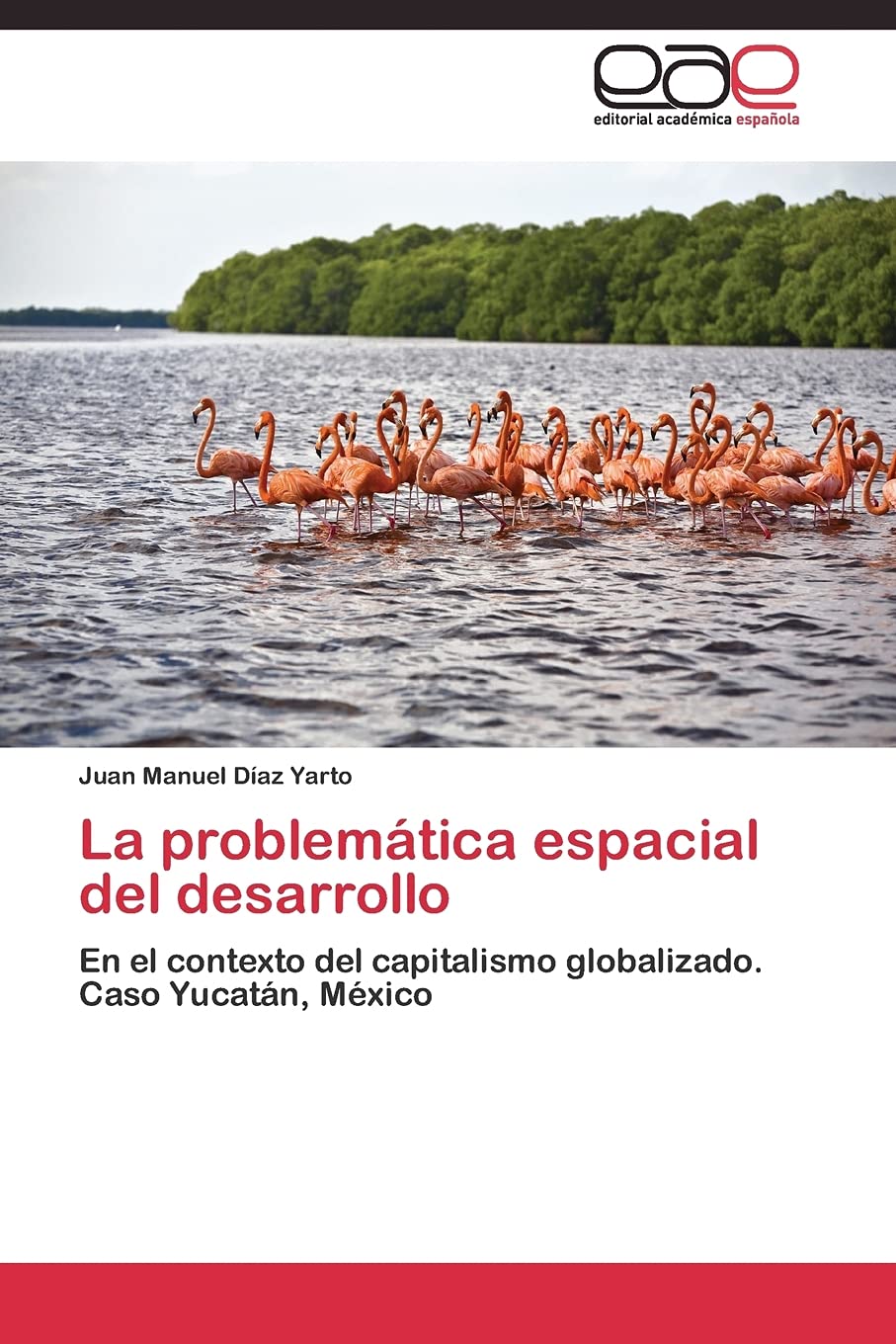 La problemática espacial del desarrollo: En el contexto del capitalismo globalizado. Caso Yucatán, México (Spanish Edition)