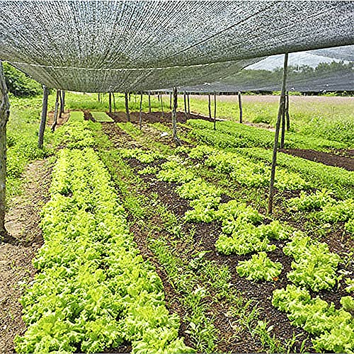 Sombrite para Horta 50% 2x5m